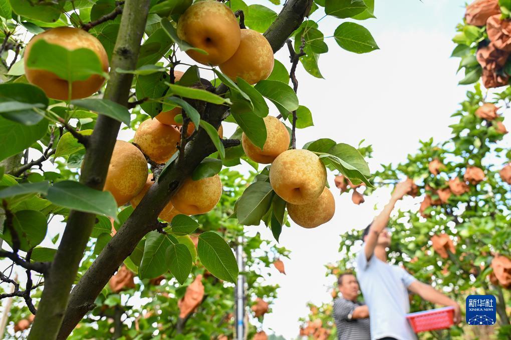 手机下载app送体验金8-88可提款